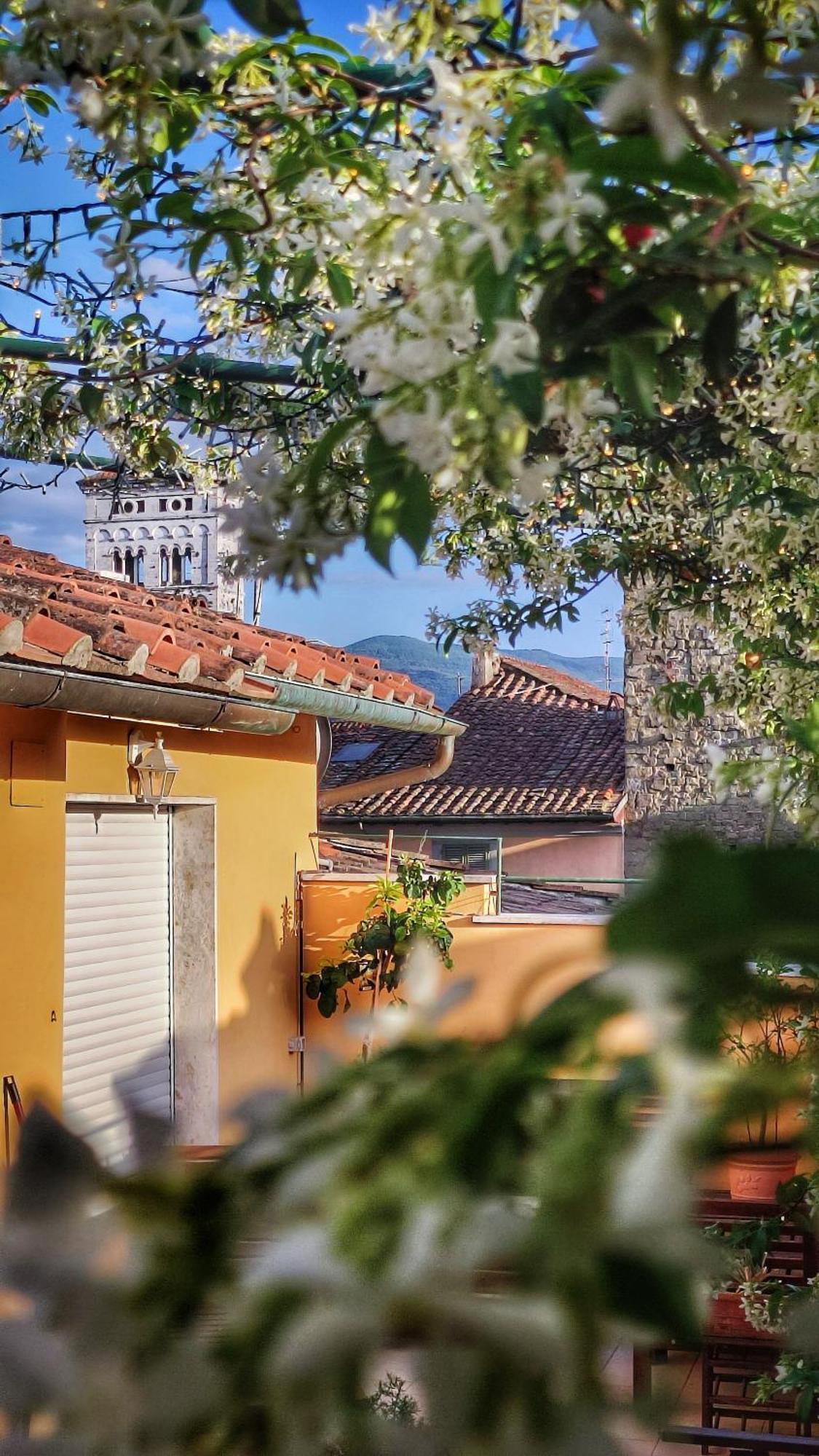 Villa De Maestri - With Elevator Since September 2025 Lucca Exterior photo